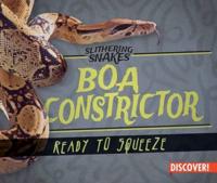 Boa Constrictor: Ready to Squeeze