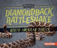 Diamondback Rattlesnake: North American Hunter