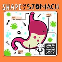 Shape of a Stomach