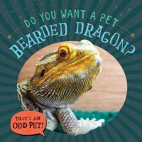 Do You Want a Pet Bearded Dragon?