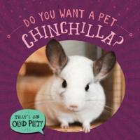 Do You Want a Pet Chinchilla?