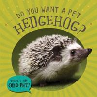 Do You Want a Pet Hedgehog?