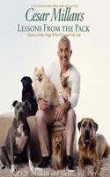Cesar Millan's Lessons From the Pack