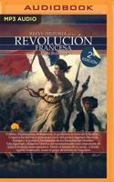 Breve Historia De La Revolución Francesa (Narración En Castellano)