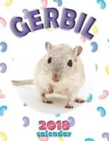 Gerbil 2018 Calendar (UK Edition)