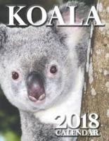 Koala 2018 Calendar
