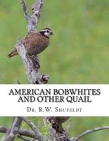 American Bobwhites and Other Quail