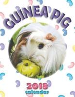 Guinea Pig 2018 Calendar