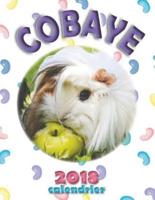 Cobaye 2018 Calendrier (Edition France)