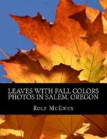 Leaves With Fall Colors - Photos in Salem, Oregon