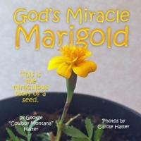 God's Miracle Marigold