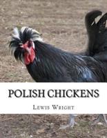 Polish Chickens