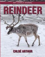 Reindeer