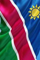 International Flag of Namibia Journal