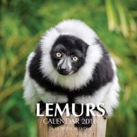Lemurs Calendar 2018
