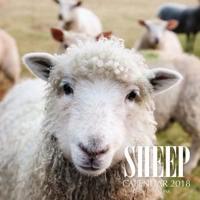 Sheep Calendar 2018