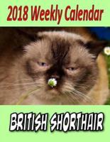 2018 Weekly Calendar British Shorthair