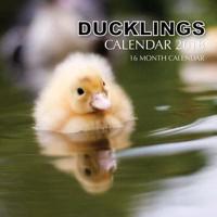 Ducklings Calendar 2018