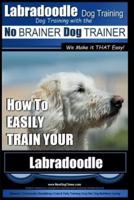 Labradoodle Training