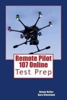 Remote Pilot 107 Online