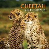 Cheetah Calendar 2018