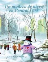Un Muneco De Nieve En Central Park