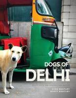 Dogs of Delhi