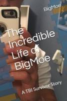 The Incredible Life of Bigmoe