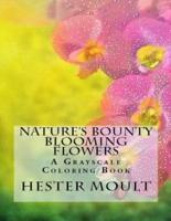 Nature's Bounty - Blooming Flowers