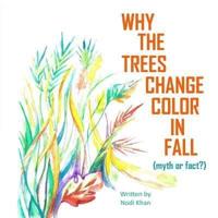 Why The Trees Change Color in Fall