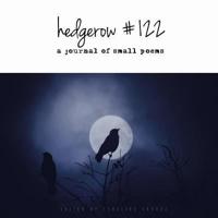 Hedgerow #122