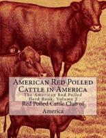American Red Polled Cattle in America