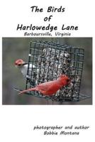 The Birds of Harlowedge Lane