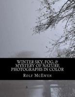 Winter Sky, Fog, & Mystery of Nature - Photographs in Color