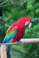 Macaw Parrot Vol.1 Notebook & Journal. Productivity Work Planner & Idea Notepad