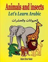 Let's Learn Arabic