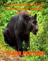 Facts About Black Panther A Picture Book For Kids