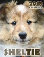 Sheltie 2018 Calendar (UK Edition)