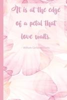 It Is at the Edge of a Petal That Love Waits.