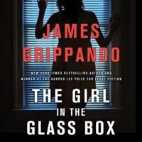 The Girl in the Glass Box Lib/E