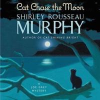 Cat Chase the Moon