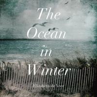 The Ocean in Winter Lib/E