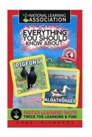 Everything You Should Know About Pigeons and Albatrosses