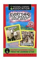 National Learning Association Everything You Should Know About Sheep and Baboons Faster Learning Facts