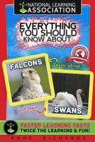 Everything You Should Know About Falcons and Swans