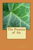 The Promise of Air