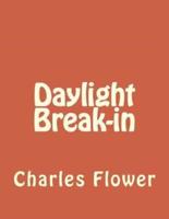 Daylight Break-In
