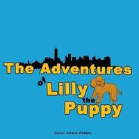 The Adventures of Lilly the Puppy