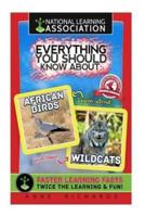 Everything You Should Know About African Birds and Wildcats