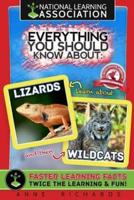 Everything You Should Know About Lizards and Wildcats